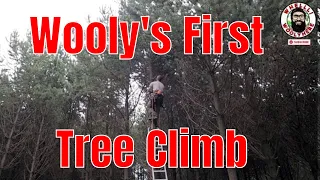 My First Time Tree Climbing !! Self taught Arborist