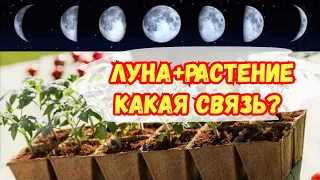 Лунный календарь. Зачем он нужен? Что такое Лунный календарь?