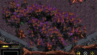 SPEEDRUN - Starcraft : Brood War - Z10 "Omega" in 13:23.433 RTA (13:22 IGT)