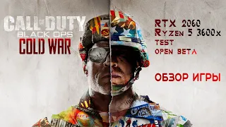 Call of Duty black ops cold war RTX 2060 Ryzen 3600x тест и обзор игры open beta