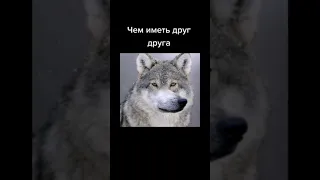 лучше иметь друга