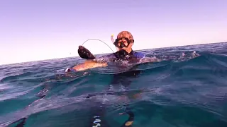 SPEARFISHING at Line reef in the Whitsundays getting stalked by a Shark.