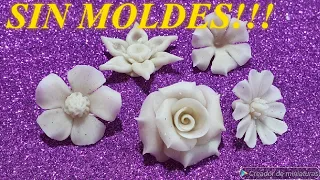 COMO HACER FLORES CON PORCELANA FRIA SIN MOLDES