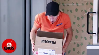 Hilarious Delivery Video | Just For Laughs Gags