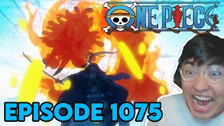 MY GUY DID IT !!!! DENJIRO OUT OF NOWHERE ?!? | Episode 1075 | One Piece REACTION !