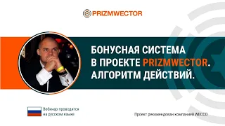 Бонусная программа в проекте Prizmwector. Евгений Малинин, 18 05 2021