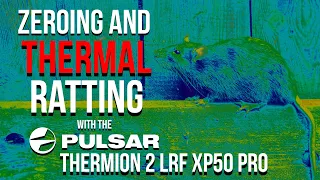 Pulsar Thermion 2 XP50 PRO Zeroing Walk Through and Ratting with Tim Dean