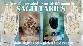 PICK A CARD: 🌝 FULL MOON IN SAGITTARIUS What Will Be Revealed To You? 🏹