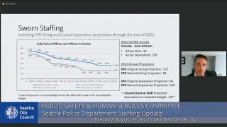 Seattle City Council Public Safety and Human Services Committee 8/9/22