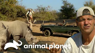 Darran resgata o Frank de um ataque de rinocerontes | Wild Frank vs Darran | Animal Planet Brasil
