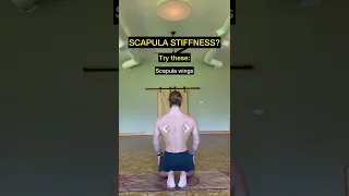 Movements to help you bring relief to your scapular region 👁 #scapularmobility #scapulamobility