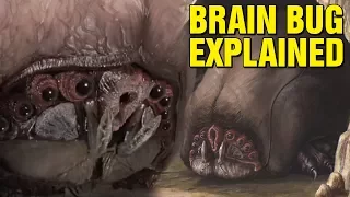 THE BRAIN BUG EXPLAINED - STARSHIP TROOPERS HISTORY EXPLORED