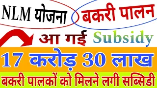 बकरी पालन // NLM योजना // बकरी पालकों को मिली 17 करोड़ 30 लाख सब्सिडी 😍 #goat #nlm #योजना #bank #pig