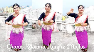 Gahana kusuma kunja majhe| Bhanushingha padabali| Dance Cover| Manipuri Style| Sreetanuka Goswami|