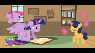 mlp twilight x flash sentry