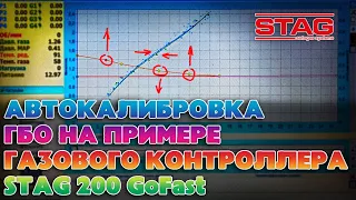 Автокалибровка ГБО Stag 200 GoFast. Начальная настройка ГБО STAG своими руками.