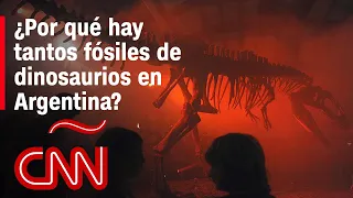 Fósiles de dinosaurios en Argentina: por qué la Patagonia es tan rica para estos hallazgos