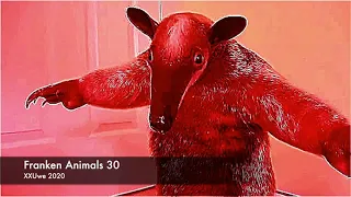 XXUwe - Franken Animals 30