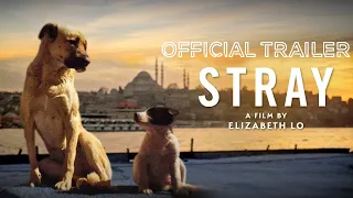 Strays | Official Trailer [HD] Animation