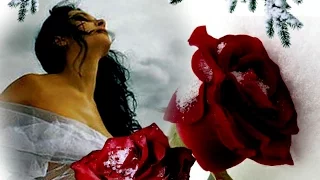 Роза На Снегу, #Песни о Любви к Женщине, Николай Замковец