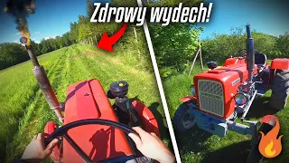 🤩-U-R-S-U-S- C-330🔥Koszenie trawy🔥Engine Sound!🚜