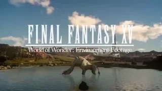FINAL FANTASY XV - World of Wonder Environment Footage /ファイナルファンタジー15