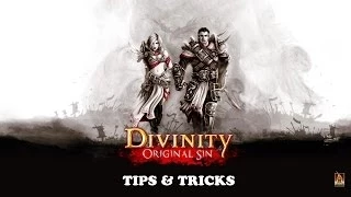 Divinity: Original Sin - Tips & Tricks Tutorial (Camera, UI, Difficulty, Rez Scrolls, Formations)