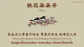 [中文|PINYIN|THAISUB] เพลงจีน 阿牛 ▪︎《桃花朵朵开》