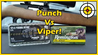 .22lr Federal Punch Vs Remington Viper! 40 Yard Ballistic Gel Test & Chrono With The Ruger 10/22!