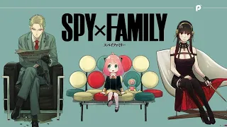 Spy x Family「AMV」- Stay