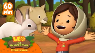 1 HOUR OF ANIMALS THAT LIVE IN BURROWS!! ⛏️🐇 | Leo the Wildlife Ranger | Kids Cartoons