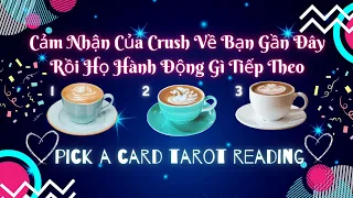 Cảm Nhận Của Crush Về Bạn Gần Đây? Rồi Họ Hành Động Gì Tiếp Theo? 💗😚🔮Chọn 1 Tụ Bài #xemtarot