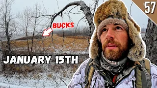 JANUARY 15th DEER HUNT - (Public Land Bowhunting in the Late Season)