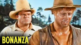 You Killed Her | Bonanza | The Ape