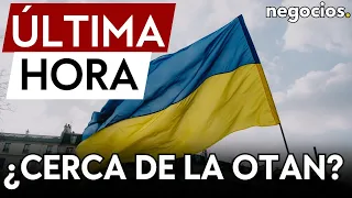 ÚLTIMA HORA | La OTAN analiza aceptar a Ucrania a cambio de ceder territorio a Rusia