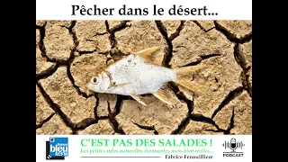 PECHER DANS LE DESERT...