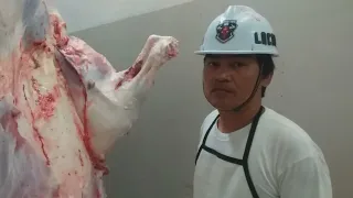 My Slaughtering Working Video