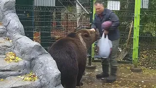 Пап, Я все глаза проглядел, ждал тебя. Медведь Мансур 🐻💕