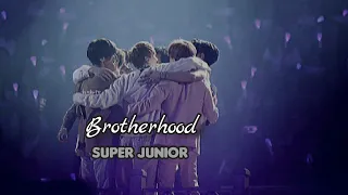 Super Junior love each other - SuJu Brotherhood ❤ #superjunior #brotherhood #suju