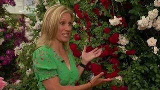 Chelsea Flower Show episode 1 2022