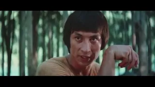 La Serpiente a la Sombra del Mono 1979 Pelicula En de kung fu En Espanol Latino 2020