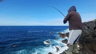 Rock fishing  Pesca sargos ilha Terceira Açores  Diplodus sargus