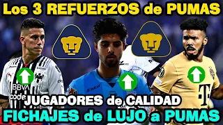 ☑️😱¡CONÓCELOS! 3 REFUERZOS a PUMAS | FICHAJES de LUJO a PUMAS | Llegan JUGADORES de CALIDAD a PUMAS