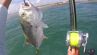 BIG BAIT for Big Fish Goliath Grouper and Snook Fishing