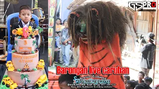 BARONGAN XTREME BUDOYO LIVE CARUBAN | SPESIAL ULTAH BOS KECIL