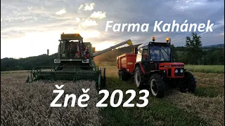 😍Žně 2023 na Farmě Kahánek s Fortschritt E514🚜 Sklizeň ozimé a jarní Pšenice🌾☀️