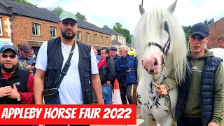APPLEBY Horse Fair 2022 BIRMINGHAM Boy's Visit EUROPE'S Largest GYPSY Horse Fair