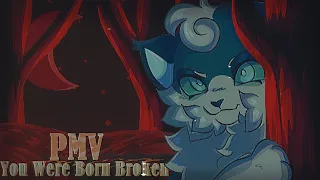 // You Were Born Broken // Warrior cat OC PMV