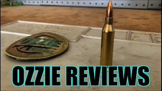 Beginner Basics #19 The 243 Winchester Caliber (pros/cons)