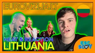 Eurovizija.LT 2024 (Heat 5) Reaction | Lithuania 🇱🇹 | Eurovision 2024 #lithuania #eurovision